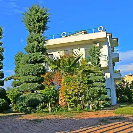 A-vila * גולם