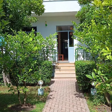 A-vila * גולם