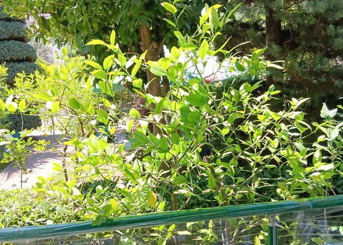 A-vila Maison d'hôtes