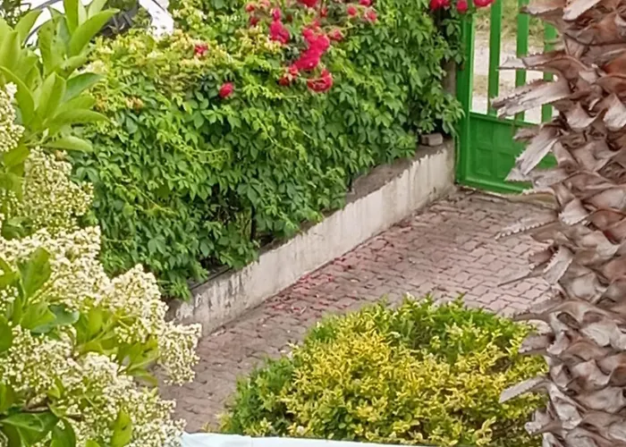 Gasthof A-vila Golem (Tirana)