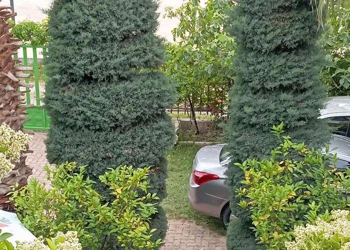 A-vila Maison d'hôtes