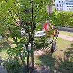 A-vila Guest house