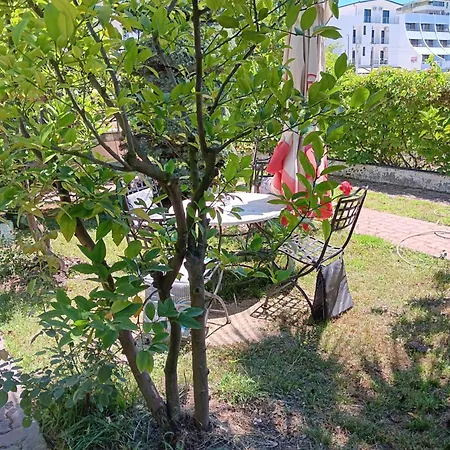 A-vila Guest house
