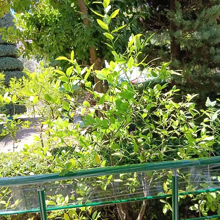 A-vila Guest house